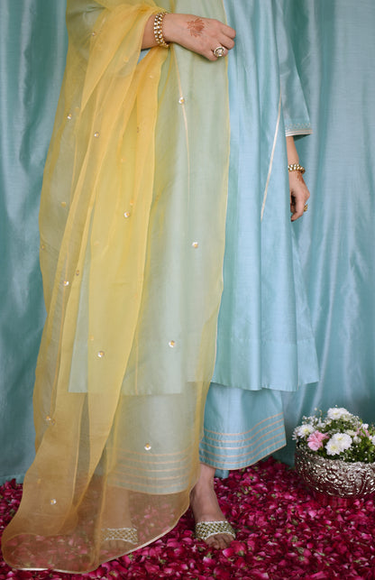 Yellow Silk Organza Hand Embroidered Dupatta