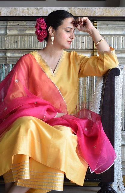 Rani Pink Silk Organza Hand Embroidered Dupatta