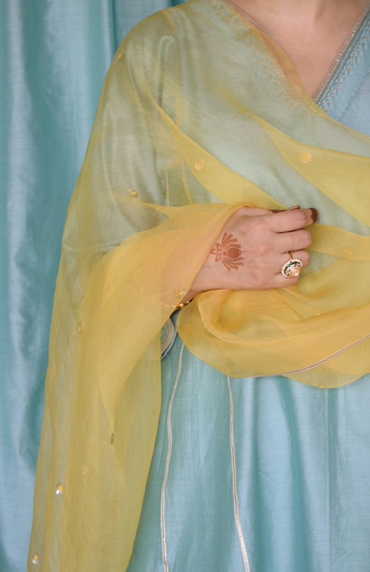 Yellow Silk Organza Hand Embroidered Dupatta