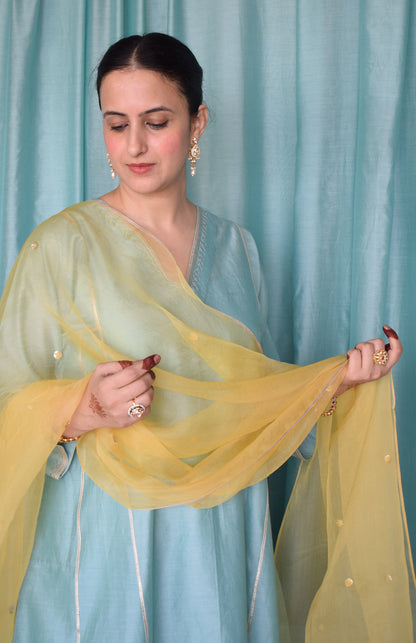 Yellow Silk Organza Hand Embroidered Dupatta