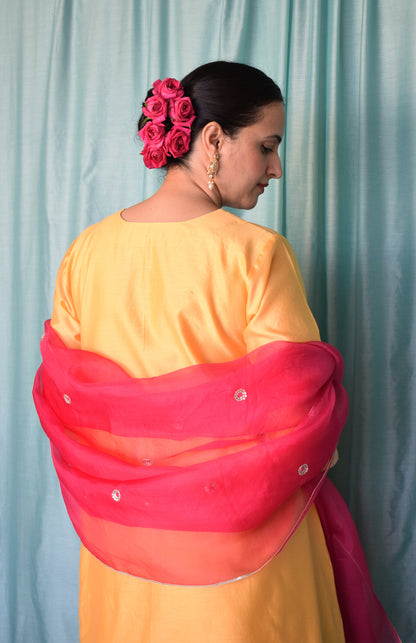 Rani Pink Silk Organza Hand Embroidered Dupatta