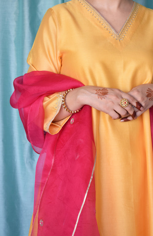 Rani Pink Silk Organza Hand Embroidered Dupatta